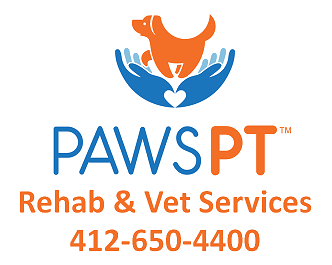 Paws PT – Pet Physical Therapy, Rehab & Wellness Logo